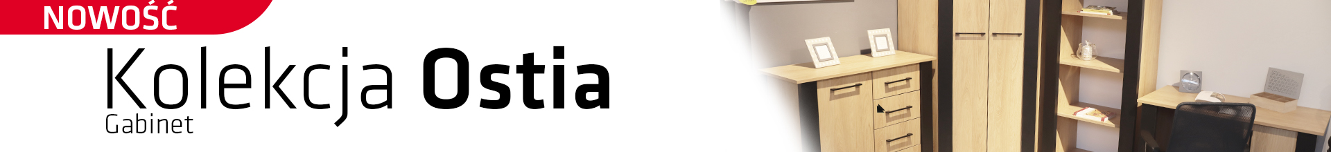 Kolekcja do biura i gabinetu OSTIA